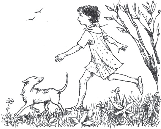 Легкие горы Легкие горы