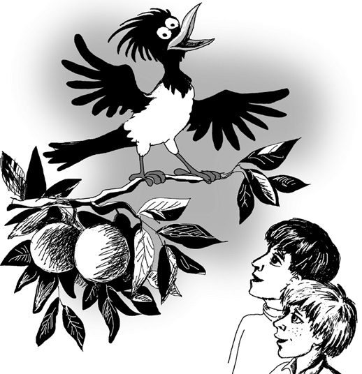 У собачьего древа