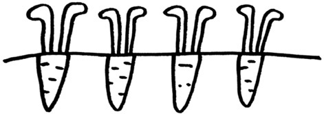 КИМКА & компания КИМКА & компания