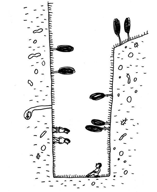 КИМКА & компания КИМКА & компания