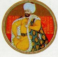 Последний окножираф Последний окножираф