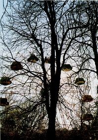 Последний окножираф Последний окножираф