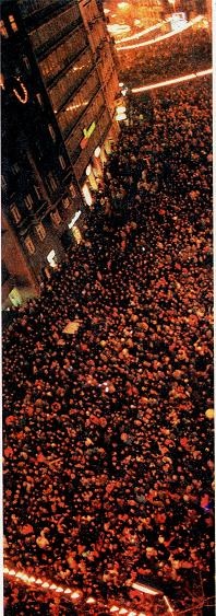 Последний окножираф Последний окножираф