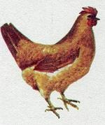 Последний окножираф Последний окножираф