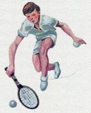 Последний окножираф Последний окножираф