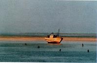 Последний окножираф Последний окножираф