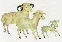 Последний окножираф Последний окножираф