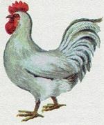 Последний окножираф Последний окножираф