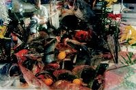 Последний окножираф Последний окножираф