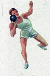 Последний окножираф Последний окножираф