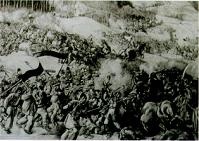 Последний окножираф Последний окножираф