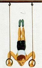 Последний окножираф Последний окножираф