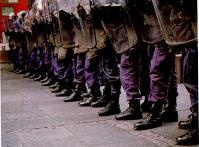 Последний окножираф