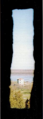 Последний окножираф Последний окножираф