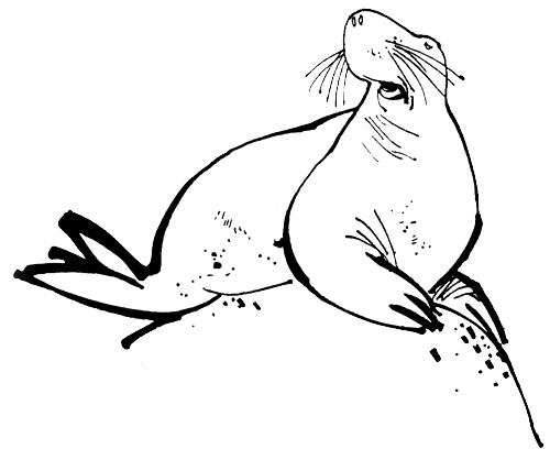 Урмель, который приплыл на льдине Урмель, который приплыл на льдине