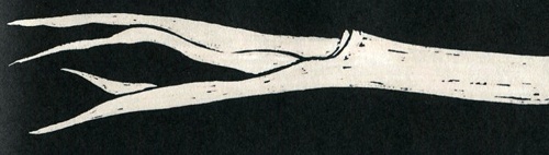 Стелла и седьмая звезда. Вторая истина Стелла и седьмая звезда. Вторая истина