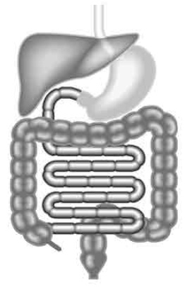 Они внутри нас Они внутри нас