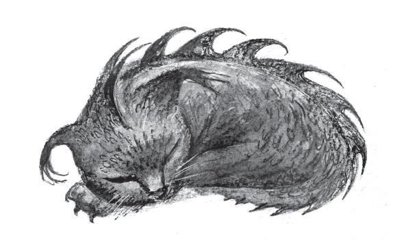 Пойдем ловить чудовище! Пойдем ловить чудовище!