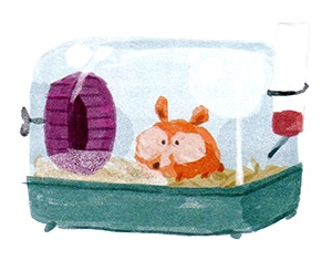 Мой папа – мальчик Мой папа – мальчик