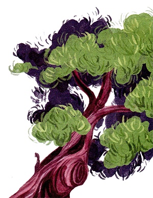 Мой папа – мальчик Мой папа – мальчик