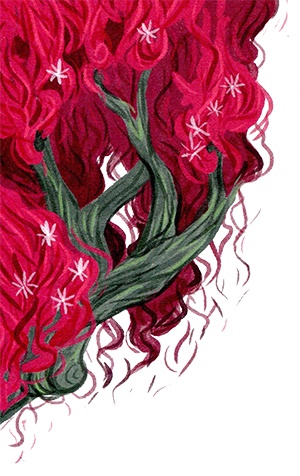 Мой папа – мальчик Мой папа – мальчик