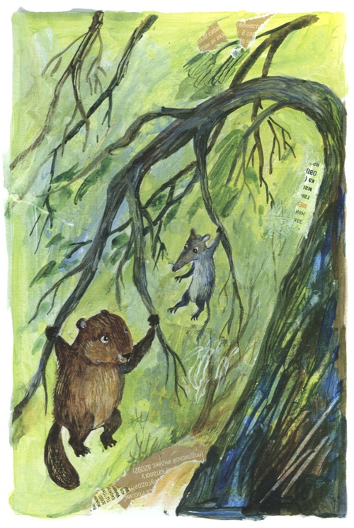 Торпи Торпи