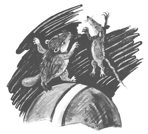 Торпи Торпи