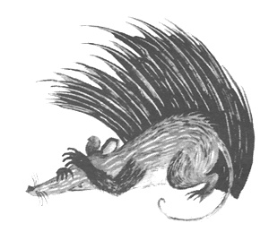 Торпи Торпи