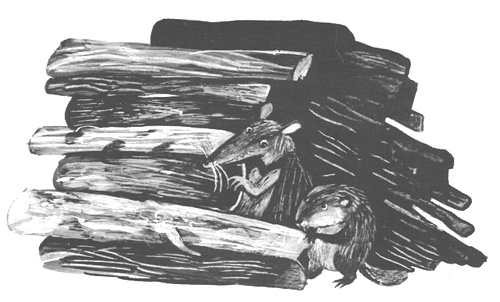 Торпи Торпи