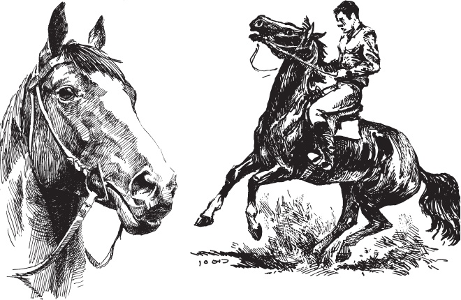 Русский лес. С вопросами и ответами для почемучек