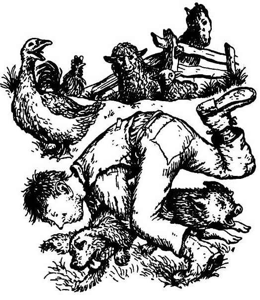 Паутинка Шарлотты Паутинка Шарлотты