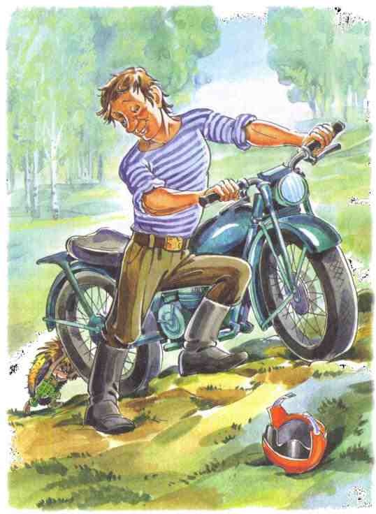 Жили-были ежики Жили-были ежики