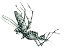 Учитель вранья