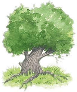 Учитель вранья Учитель вранья