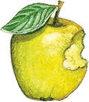 Учитель вранья Учитель вранья