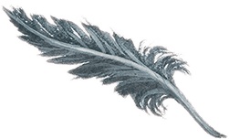 Учитель вранья Учитель вранья