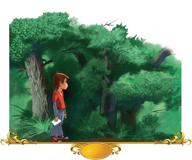 Тайна заколдованного леса