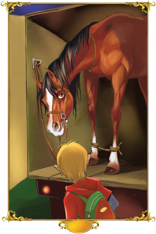 Тайна заколдованного леса Тайна заколдованного леса