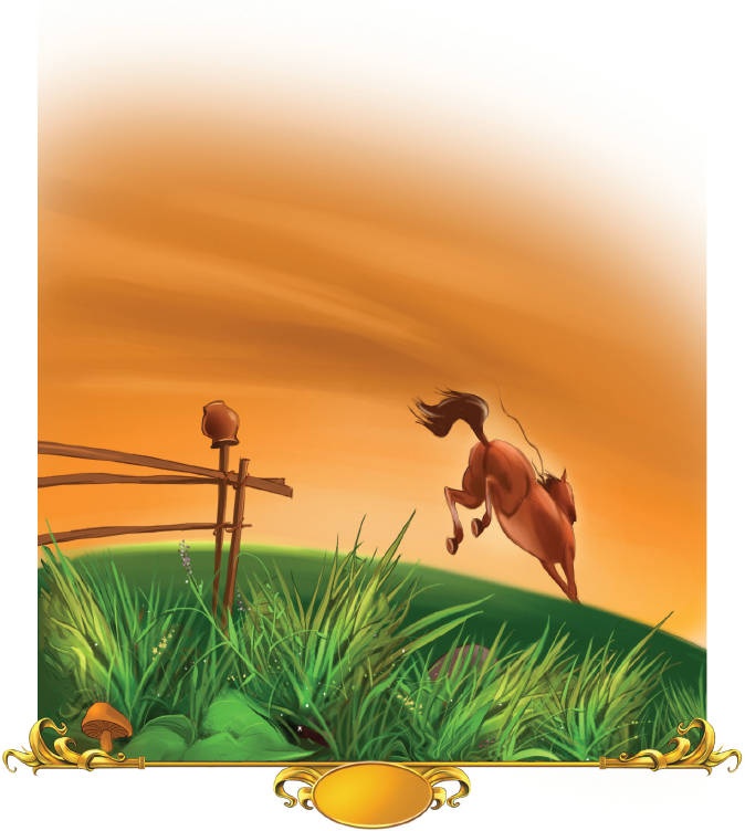 Тайна заколдованного леса