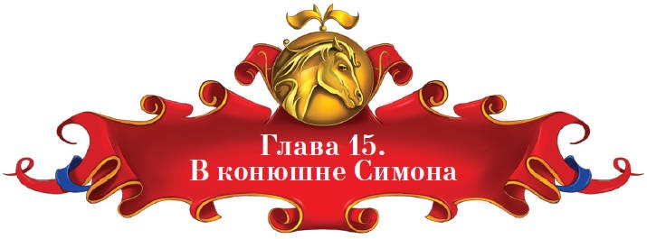 Тайна заколдованного леса