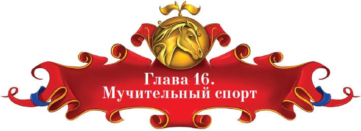 Тайна заколдованного леса