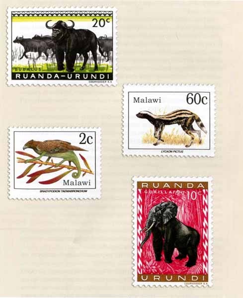 Как стать настоящим львом Как стать настоящим львом