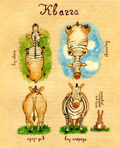 На Деда Мороза не охотятся На Деда Мороза не охотятся