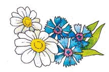 Разноцветные приключения Кузи Разноцветные приключения Кузи