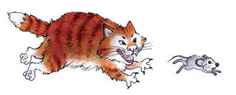 Разноцветные приключения Кузи Разноцветные приключения Кузи