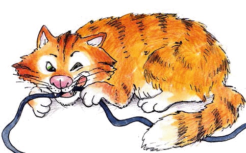 Разноцветные приключения Кузи Разноцветные приключения Кузи