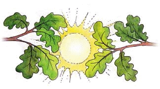 Разноцветные приключения Кузи