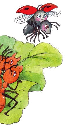 Разноцветные приключения Кузи