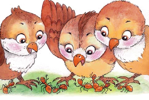 Разноцветные приключения Кузи Разноцветные приключения Кузи