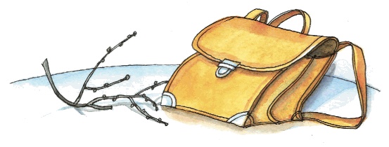 Красавица 5 "В" Красавица 5 "В"